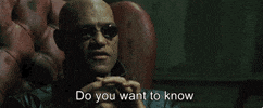 the matrix what GIF