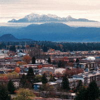 British Columbia Local Business GIF by Oi