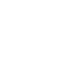Skating Jay Adams Sticker by Yin Anthony