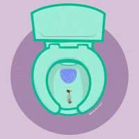 Toilet Bathroom GIF by Period Nirvana