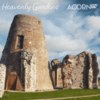 British Art GIF by Acorn TV