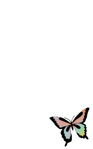 Rainbow Butterfly Sticker