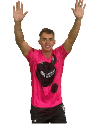 Josh Thomas Ball Sticker by Somerset County Cricket Club