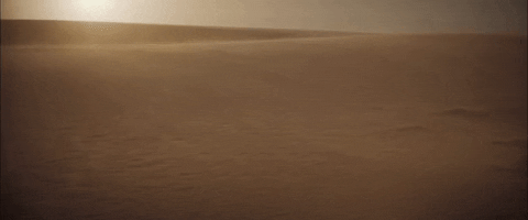 Denis Villeneuve Desert GIF by TIFF