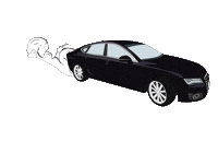Caroo Sticker by Sport Teraz Wy
