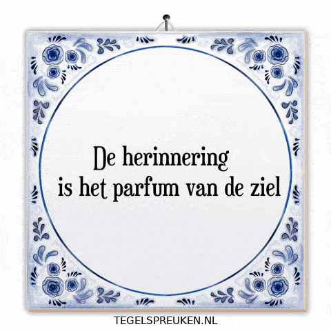 Humor Moment GIF by Tegelspreuken.nl