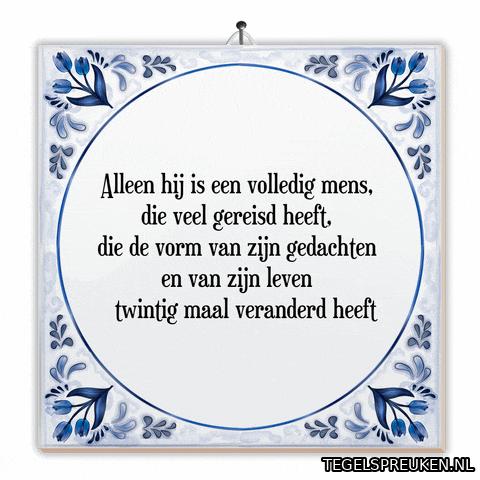 Humor Reizen GIF by Tegelspreuken.nl
