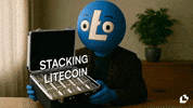 Money Stacking GIF by LitVM