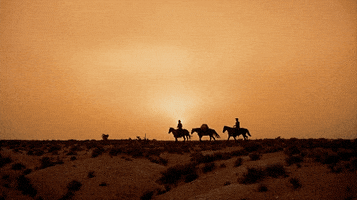 John Wayne Westerns GIF by Coolidge Corner Theatre