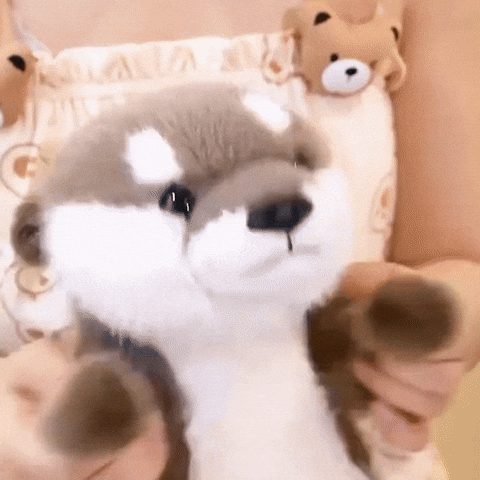 peluche-loutre-caline