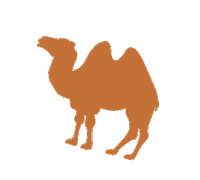 Morocco Camel Sticker by A PET STORE