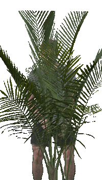 Surprise Plant Sticker by Traverse Fitness