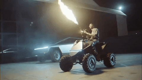 paigelez giphygifmaker GIF