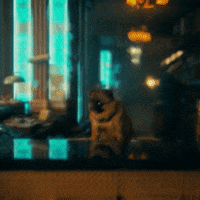 Season 3 Netflix GIF by The Umbrella Academy