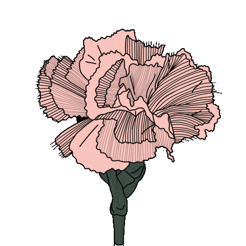 bydaisydalia giphyupload flower floral deco Sticker
