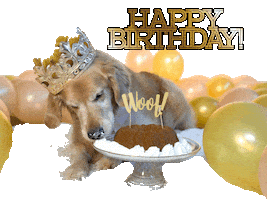 Celebrate Happy Birthday Sticker