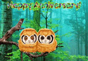 Owls Expressions GIF