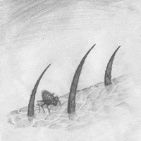 Art Illustration GIF by Miranda Javid