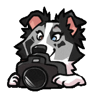 Camera Foto Sticker