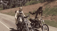GIF by VakantieVeilingen