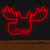 DoYouMoose live neon light web3 GIF