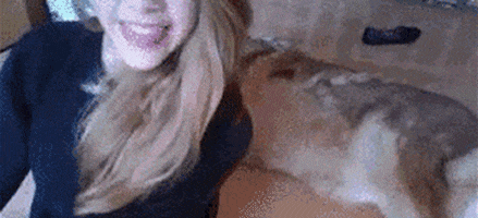 Dogs Fail GIF
