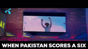 cricket world cup sport GIF by Telenor Pakistan