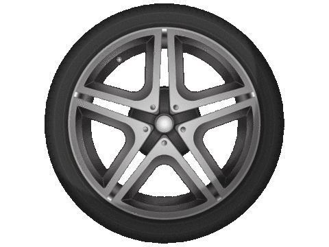 nationalmotorsportacademy giphyupload Sticker