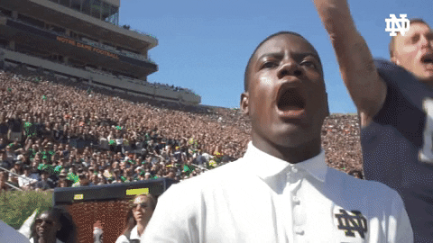 Notre Dame Football Celebration GIF by Notre Dame Fighting Irish