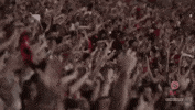 flamengo st nrn stfla nacaocrf GIF
