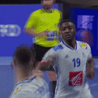 Ffhandball GIF by Fédération Française de Handball