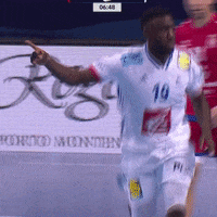 Ffhandball GIF by Fédération Française de Handball