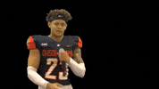 Cnfb GIF by Carson-Newman Athletics