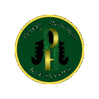 Champions Irish Sticker by Ashling Daly
