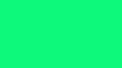 carnaval bier GIF by Lamme Frans