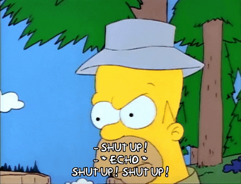 Season 1 GIF by The Simpsons