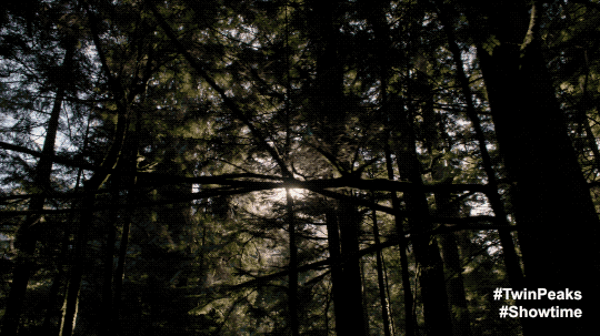 Twin Peaks Part 14 GIF by Twin Peaks on Showtime