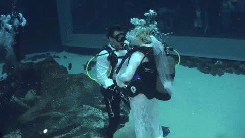 wedding GIF by Brighter Image