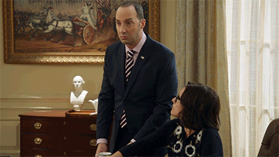 selina meyer amy brookheimer GIF by Veep HBO