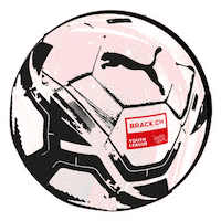 Brack Sticker by BRACK.CH AG