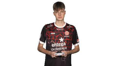 Mainz 05 Vbl Sticker by Bundesliga