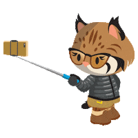 cat picture Sticker by AppExchange