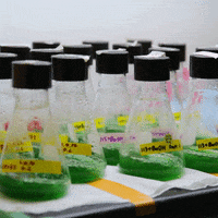 GIF by University of California