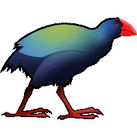 kiwi nz Sticker by Emotiki - The World's First Māori emoji app
