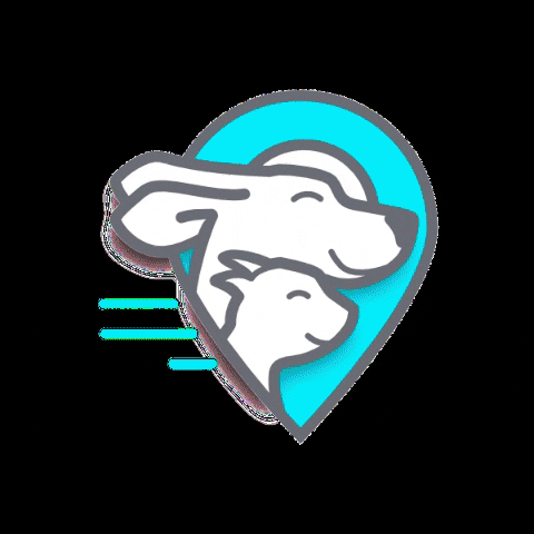 Vacanzeanimali dog animals travel puppy GIF