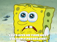 season 6 episode 13 GIF by SpongeBob SquarePants