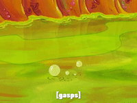 season 7 the curse of bikini bottom GIF by SpongeBob SquarePants