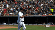 major league baseball sport GIF by MLB
