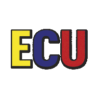 Var Ecu Sticker by SubwayMX