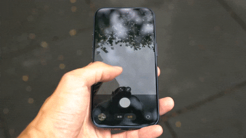 huleefox giphyupload GIF